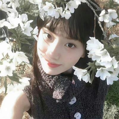 子夜的太阳